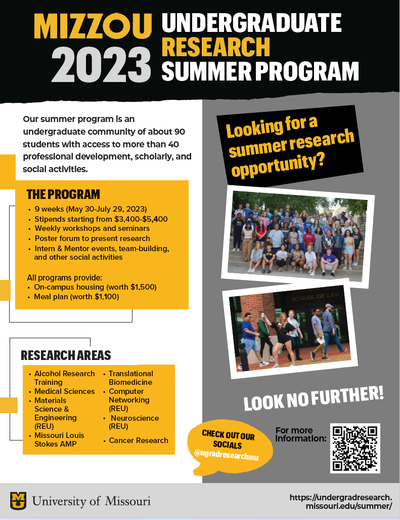 UM summer program flyer
